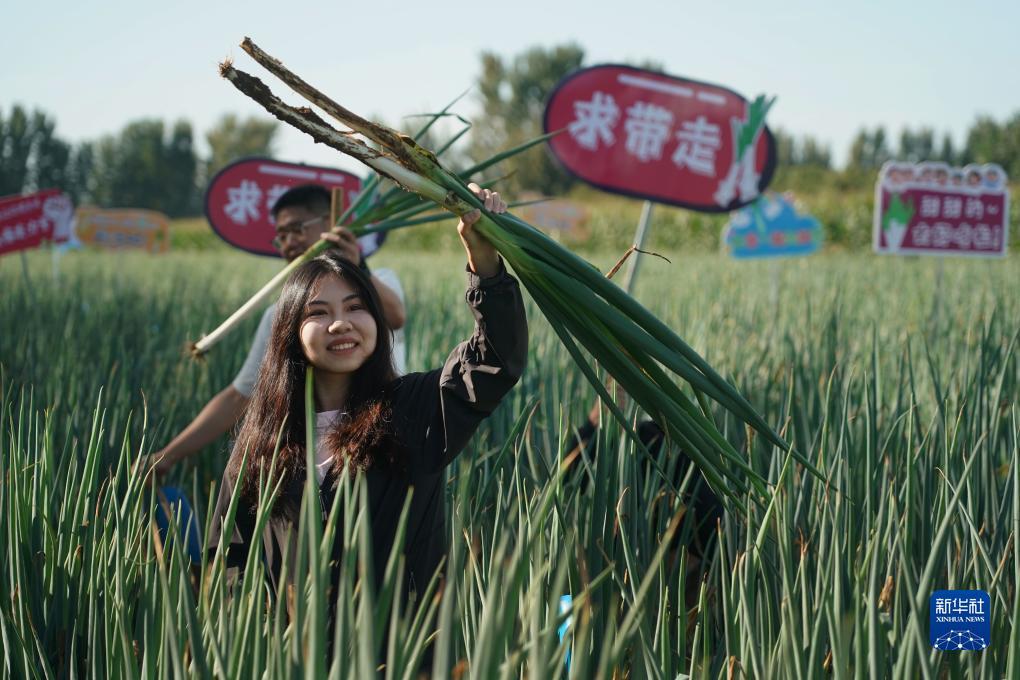 大满贯官方网